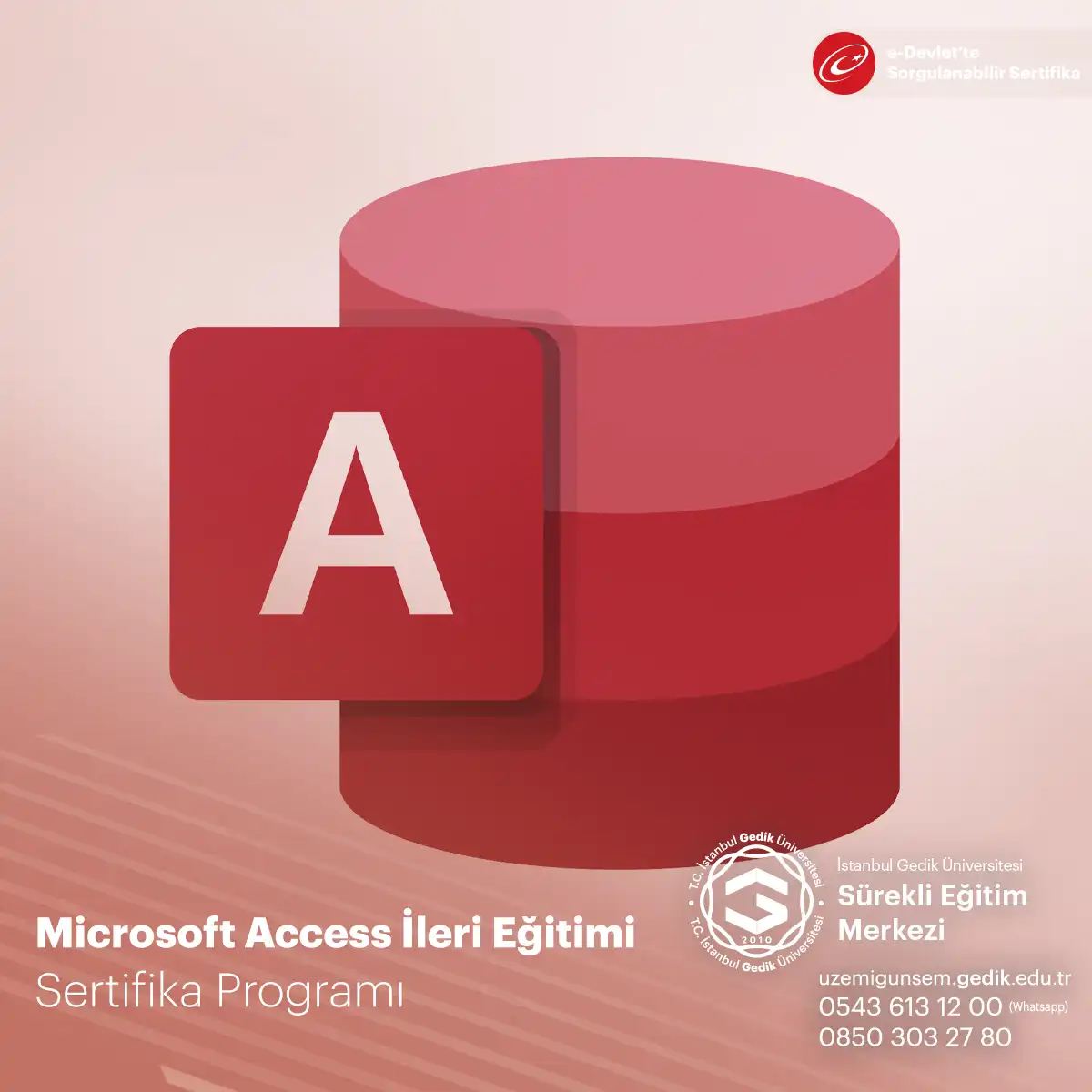 Microsoft Access İleri Eğitimi 